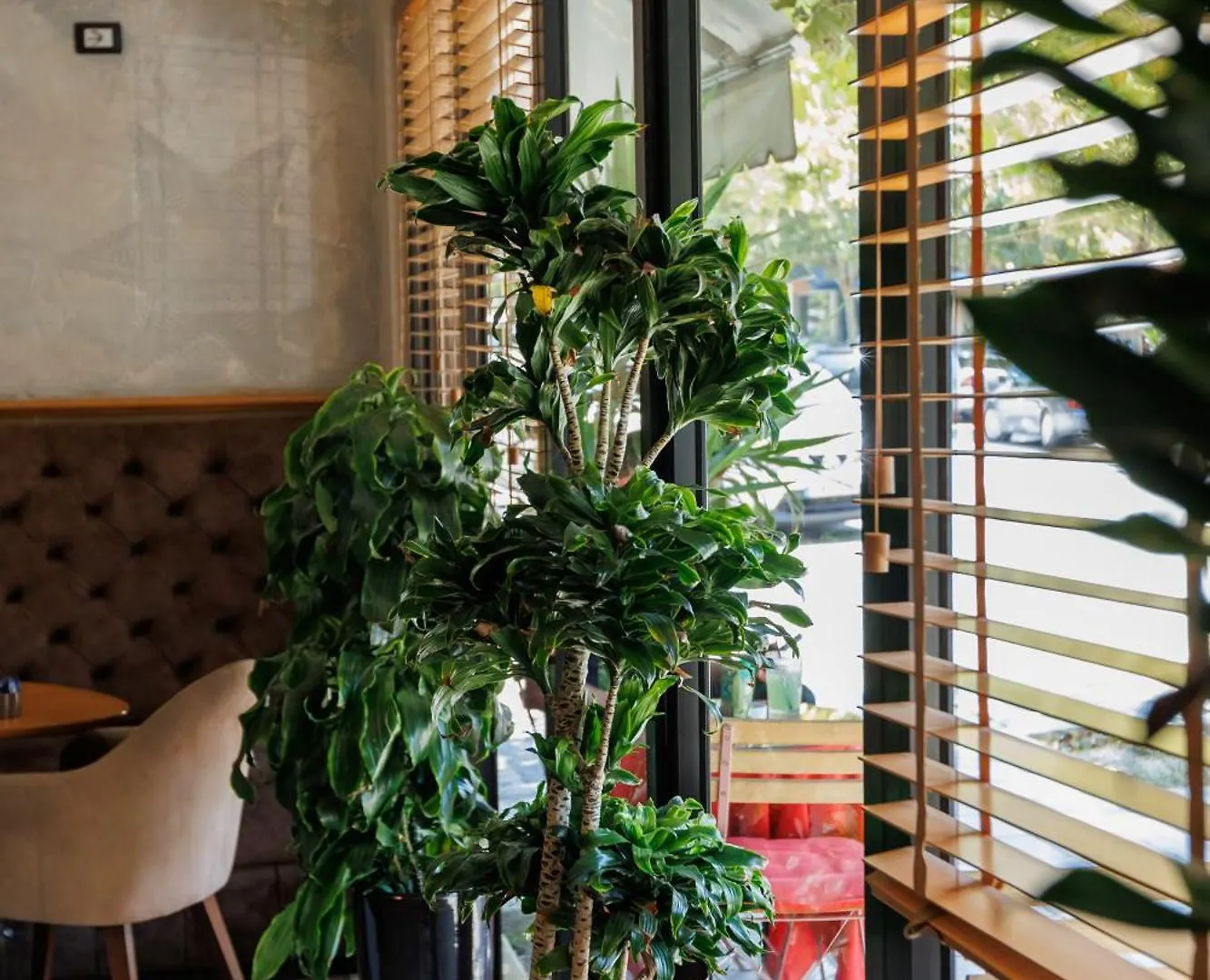 Harmony Boutique Hotel Vlorë